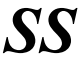 SS Corporation